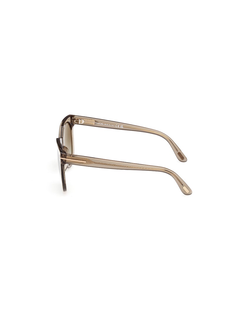 TOM FORD Women's Butterfly Shape Acetate Sunglasses FT110945G53 Lens Size: 53 Millimeter - Shiny Light Brown  - Image 4