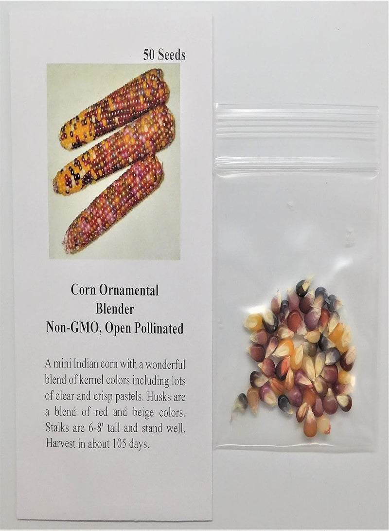 GGOOT Corn Ornamental Blender 9962 (Multi) 50 Non-GMO, Heirloom Seeds  - Image 2