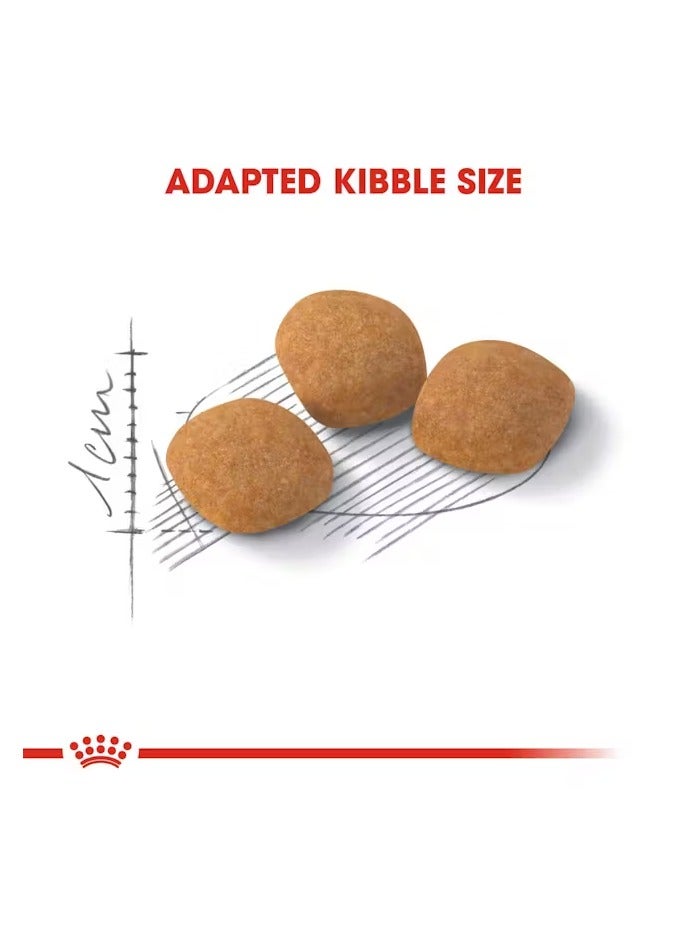 رويال كانين فيلين هيلث نيوتريشن إكسيجينت بروتين 2 كجم - Image 3