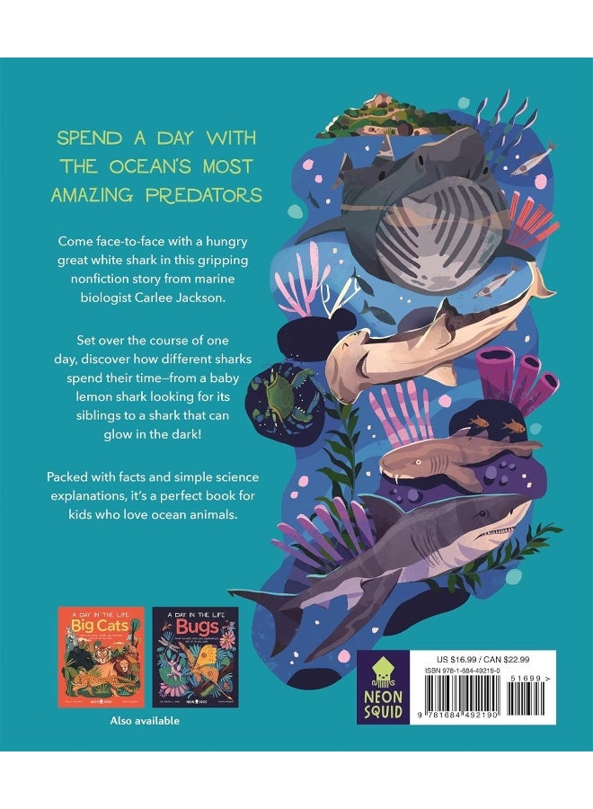 Sharks (a Day in the Life): What Do Great Whites, Hammerheads, and Whale Sharks Get Up to All Day?  - Image 2
