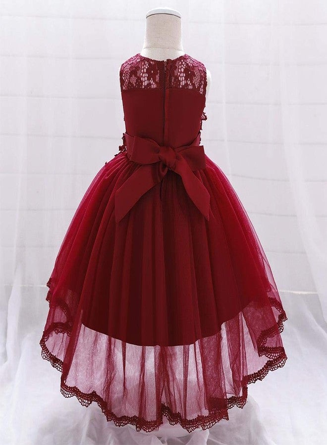 OBEEII Toddler Princess Flower Girl Dress Baby Girls Birthday Wedding Party Dresses Christmas Smash Cake Pageant Gown Red 6-12 Months - Image 3