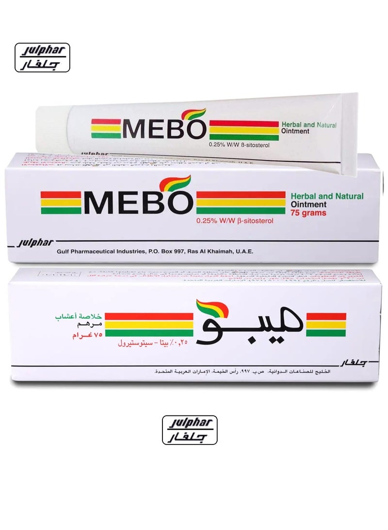 Julphar Mebo Original Ointment for Burns and Wounds, Skin ULCers 75 GM - Image 1