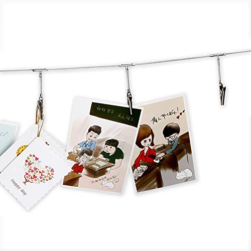 TFu Multi-Purpose Steel Wall Hanging Photo Display Cable Wire Rod String with 12 Clips for Hanging Photos Notes and Artworks (Alligator clip) - Image 1