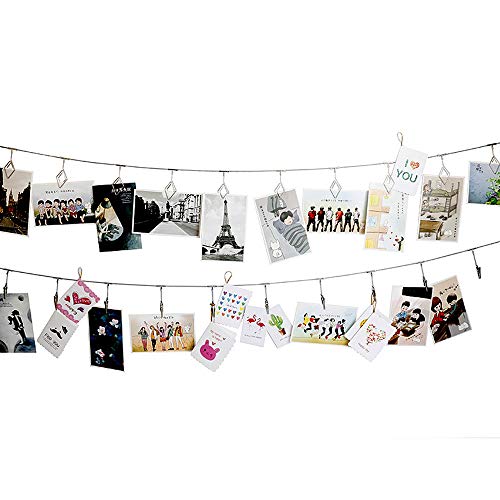 TFu Multi-Purpose Steel Wall Hanging Photo Display Cable Wire Rod String with 12 Clips for Hanging Photos Notes and Artworks (Alligator clip) - Image 2