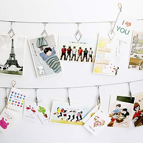 TFu Multi-Purpose Steel Wall Hanging Photo Display Cable Wire Rod String with 12 Clips for Hanging Photos Notes and Artworks (Alligator clip) - Image 4