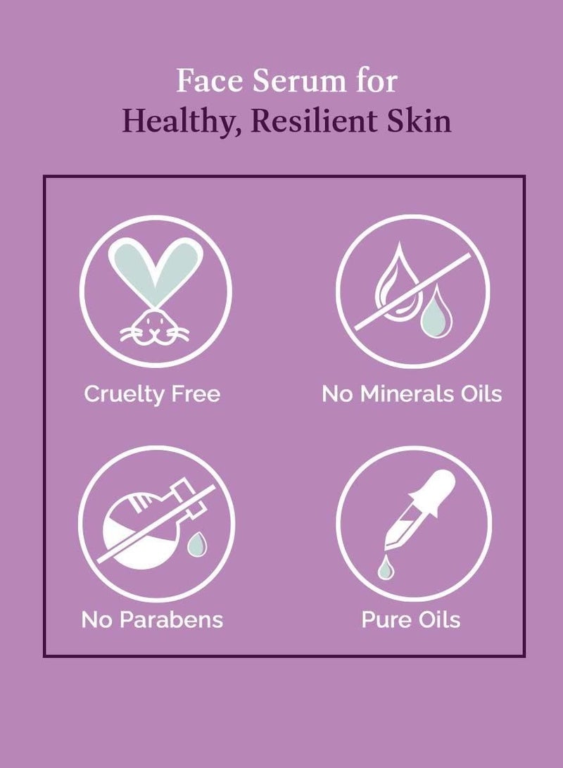St. Botanica StBotanica Niacinamide 5%, E HA Alpha Arbutin Face Serum 20ml with 5% Niacinamide Hyaluronic Acid & Alpha Arbutin to Refine Pores & Strengthen Skin No Parabens & Sulphates Vegan  - Image 4