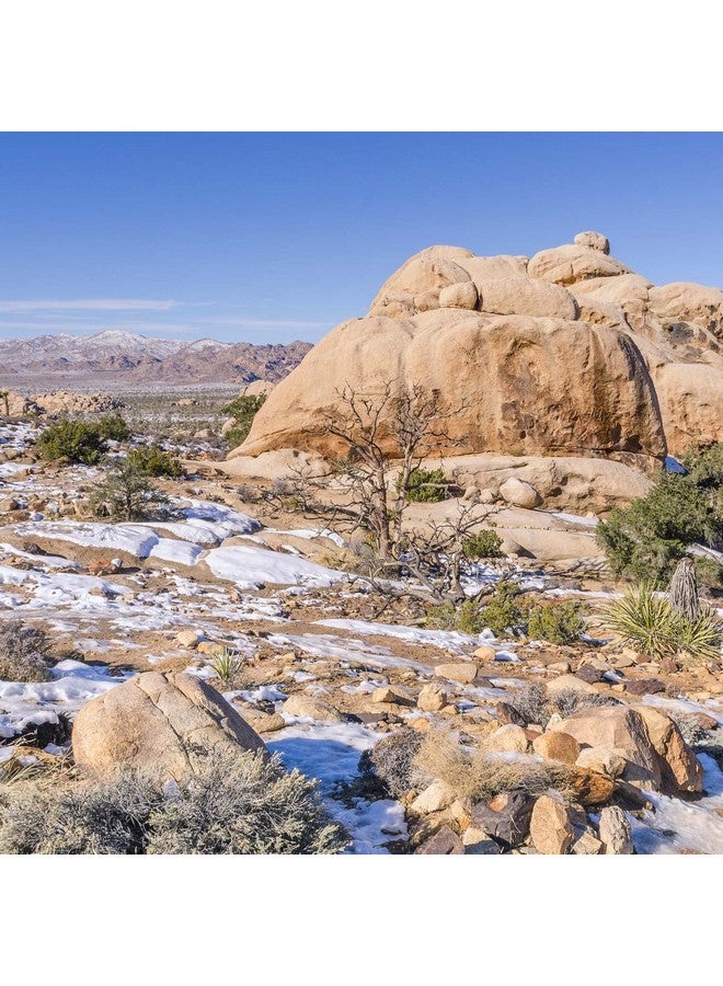 Pour Moi Anti-Aging Body Cream for Hyper Hydration in Arid Conditions - Image 3