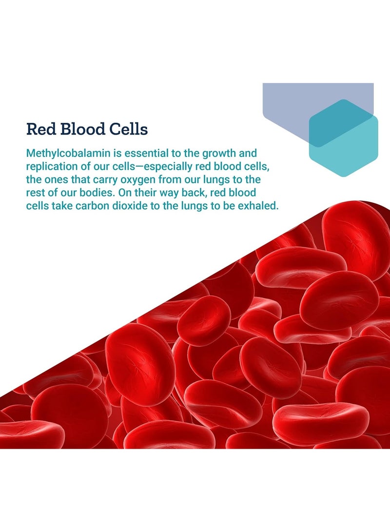 لايف إكستنشن فيتامين ب12 ميثيل كوبالامين 500 ميكروجرام -100 قرص نباتي - Image 4