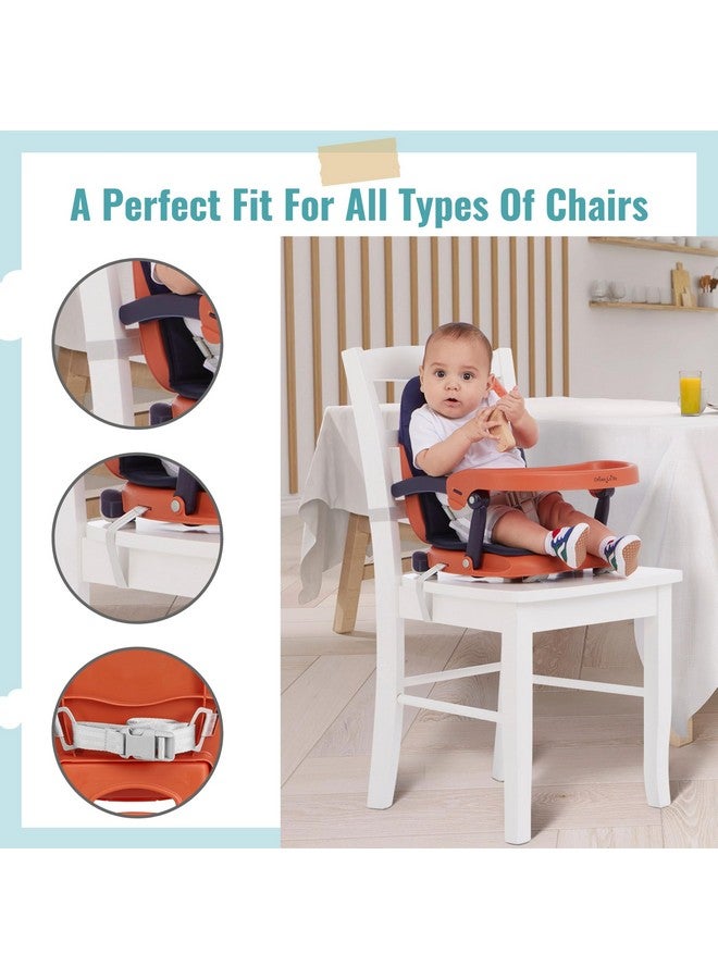 Dream On Me Munch N Go Booster Seat for Dining Table, Lightweight Compact Fold Travel Booster Seat, 3-in-1 Convertible, Four Level Height Adjustment and Easy Tray Removal - Image 5