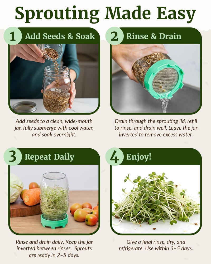 Elementi Sprouts Growing Kit for Wide Mouth Mason Jars, Set of 2 Sprouting Lids for Organic Alfalfa & Mung Bean Sprouts Grow Kit, 316 Stainless Steel Mesh Screen Strainer Lid (Sage Green) - Image 4