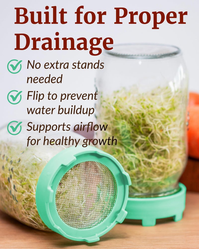 Elementi Sprouts Growing Kit for Wide Mouth Mason Jars, Set of 2 Sprouting Lids for Organic Alfalfa & Mung Bean Sprouts Grow Kit, 316 Stainless Steel Mesh Screen Strainer Lid (Sage Green) - Image 3
