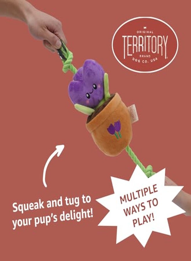 Territory Garden Treat-and-Tug Dog Toy - Interactive Hide-and-Treat Toy with Pockets for Kibble & Treats - Squeaker, Crinkle Sounds, and Tug Play - Image 3