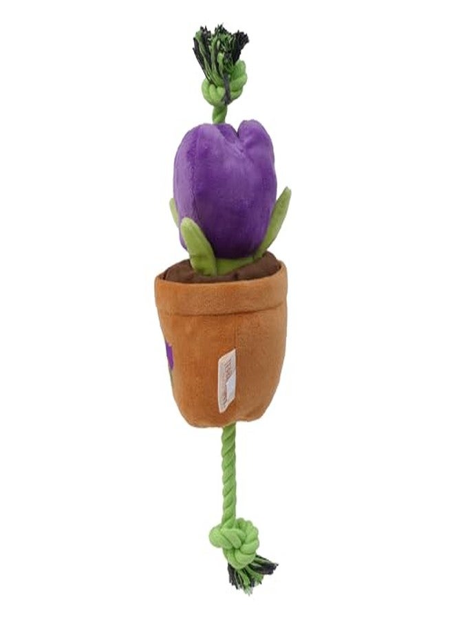 Territory Garden Treat-and-Tug Dog Toy - Interactive Hide-and-Treat Toy with Pockets for Kibble & Treats - Squeaker, Crinkle Sounds, and Tug Play - Image 5