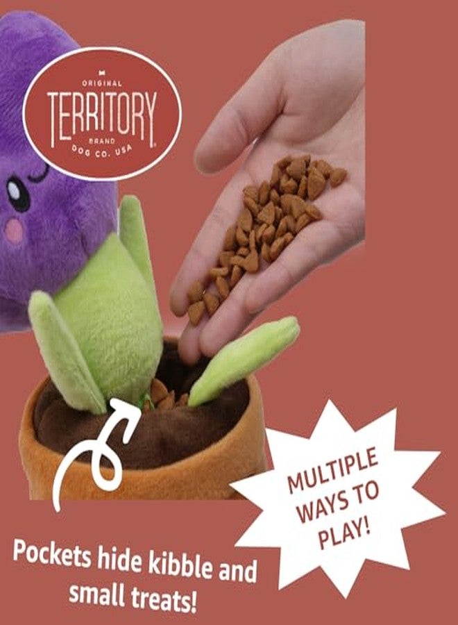 Territory Garden Treat-and-Tug Dog Toy - Interactive Hide-and-Treat Toy with Pockets for Kibble & Treats - Squeaker, Crinkle Sounds, and Tug Play - Image 4