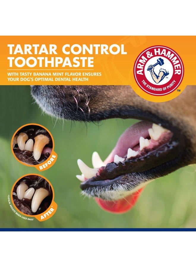 Arm & Hammer طقم التحكم في الجير للحيوانات الأليفة للكلاب يحتوي على معجون أسنان، فرشاة أسنان وفرشاة أصابع يقلل من تراكم البلاك والجير، طقم مكون من 3 قطع، بنكهة الموز والنعناع (عبوة من 1) - Image 4