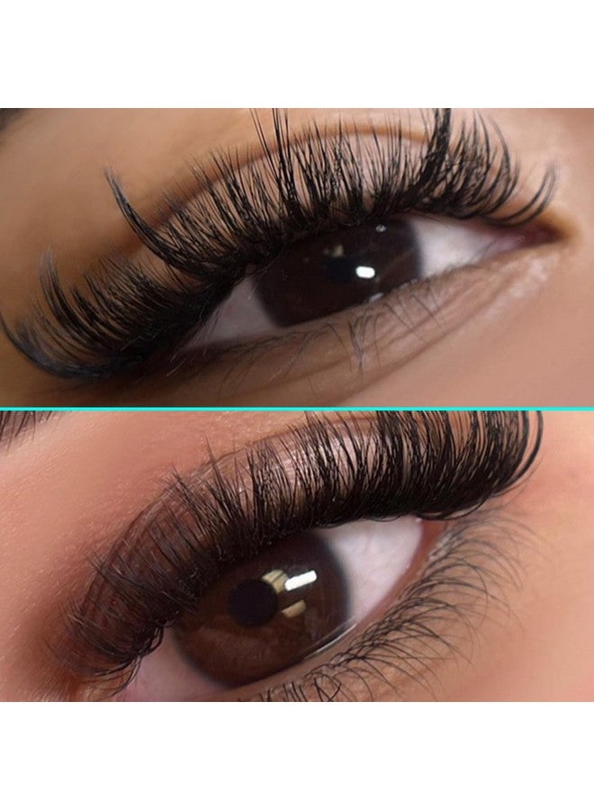 VAVALASH Cashmere Easy Fan Lashes 0.03 0.05 0.07 C/Cc/D/Dd Volume Lash Extensions 8Mm-20Mm Matte Black Self Fanning Eyelash Extensiones, Professional Supplies For Lash Artists (D-0.07,8-15Mm) - Image 5