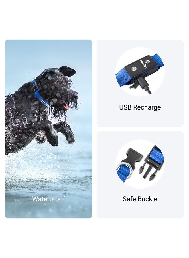 Tractive LED Light Up Dog Collar USB Rechargeable Waterproof (Blue) - Image 4
