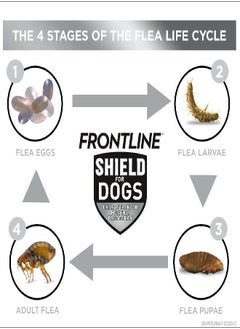 Frontline FRONTLINE® Shield for Dogs Flea & Tick Treatment, 11-20 lbs, 3ct  - Image 3