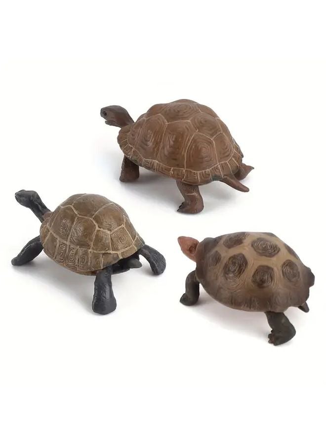 Realistic 518 Tortoises Model Toy For Educational Play And Wildlife Learning - Image 5