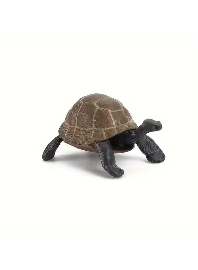 Realistic 518 Tortoises Model Toy For Educational Play And Wildlife Learning - Image 1