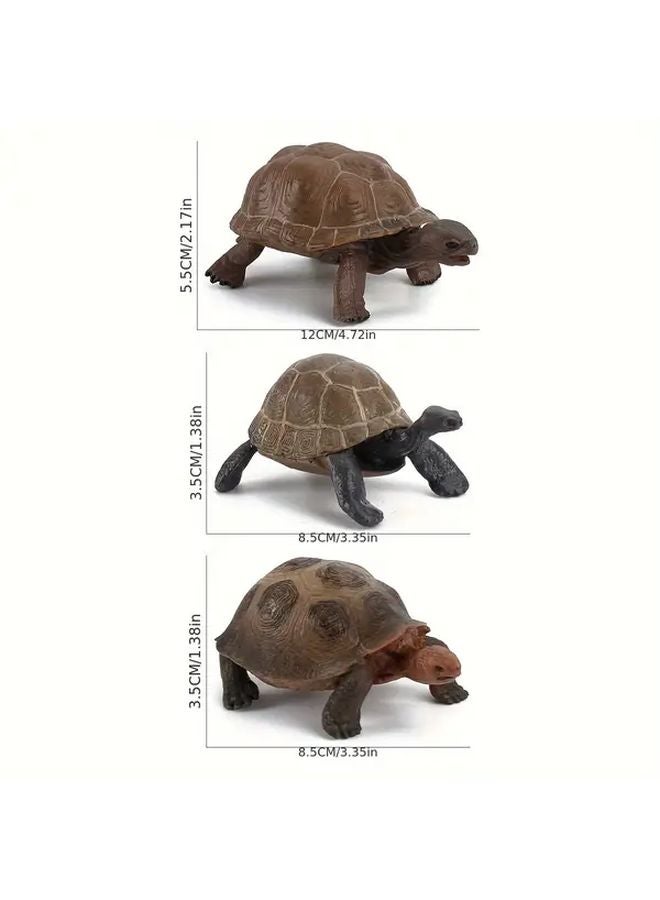 Realistic 518 Tortoises Model Toy For Educational Play And Wildlife Learning - Image 3