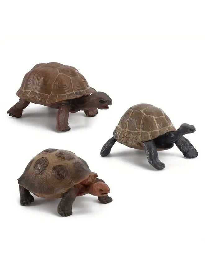 Realistic 518 Tortoises Model Toy For Educational Play And Wildlife Learning - Image 2