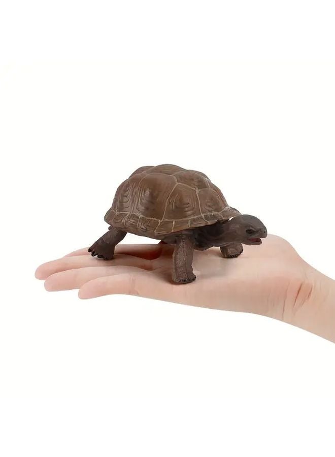 Realistic 518 Tortoises Model Toy For Educational Play And Wildlife Learning - Image 4