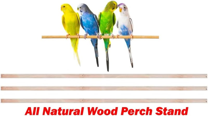 Mcage 38-Inch Double Roof Top Large Flight Bird House Cage with Toys & Climbing Ladder for Cockatiels Parakeets Aviary Budgie Finch Lovebird Canary Pet Bird Travel Cage Side Nest Box Doors - Image 5