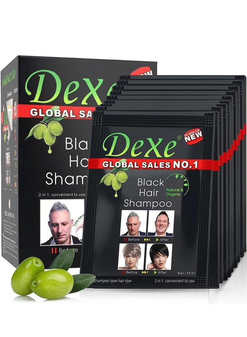 Dexe Black Hair Shampoo Temporary Instant Hair Dye Maintain for Men and Women Grey Hair Color Shampoo Black Wash Hair Cream Black Hair Shampoo for Natural Hair Long Lasting Hair Color Shampoo  - Image 1