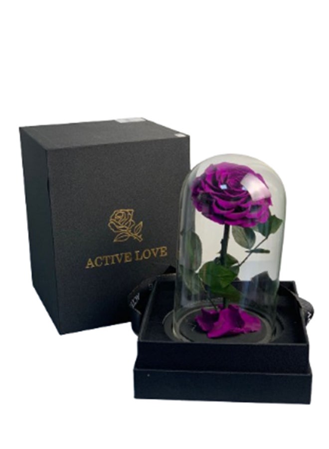 wardi Special Purple Infinity Rose In A Box