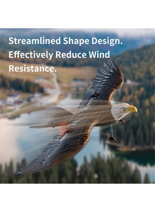 جاجيك Remote Control Eagle Plane HW-40 – 2.4GHz 2CH RC Glider with Realistic Bird Design, 6-Axis Gyro Stabilizer & Propeller – Easy-to-Fly Lightweight RTF Airplane Toy for Beginners, Kids, Adults & Boys – Outdoor Remote Flying Bird Aircraft - Image 3
