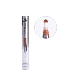 Concealer R#09