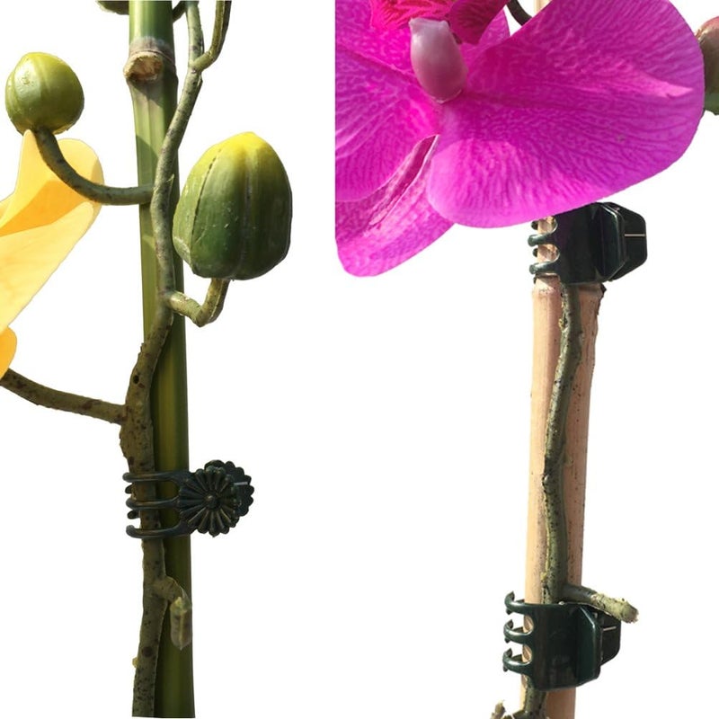Vtete 20 Pcs Large and 50 Pcs Small Daisy Orchids Clips Garden Tomato Trellis Clips Plant Support Garden Accessories to Keep Plant Neat and Healthy, Green - Image 2