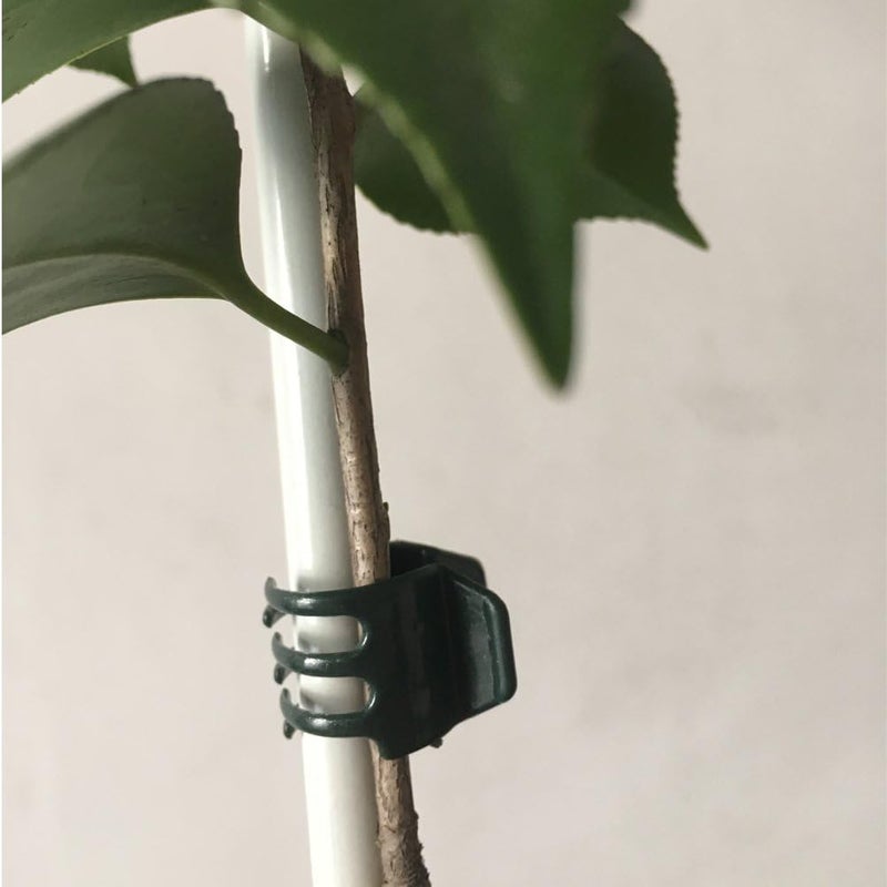 Vtete 20 Pcs Large and 50 Pcs Small Daisy Orchids Clips Garden Tomato Trellis Clips Plant Support Garden Accessories to Keep Plant Neat and Healthy, Green - Image 4