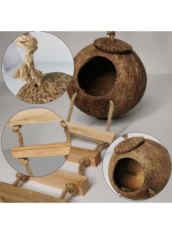 هامليدي بيت الطيور المعلق مع سلم من ألياف جوز الهند الطبيعية لتربية الطيور والببغاوات والطيور العاشبة والكناري وجوز الهند وجلود الطيور وأرجوحة الطيور والألعاب للهامستر وإكسسوارات قفص الطيور ومستلزمات الطيور الأليفة - Image 4