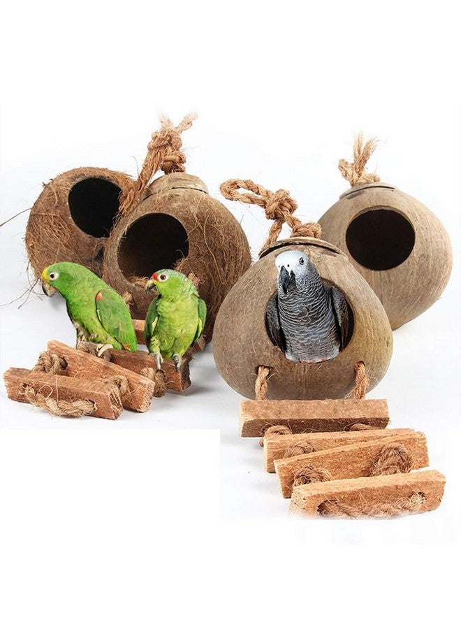 هامليدي بيت الطيور المعلق مع سلم من ألياف جوز الهند الطبيعية لتربية الطيور والببغاوات والطيور العاشبة والكناري وجوز الهند وجلود الطيور وأرجوحة الطيور والألعاب للهامستر وإكسسوارات قفص الطيور ومستلزمات الطيور الأليفة - Image 2