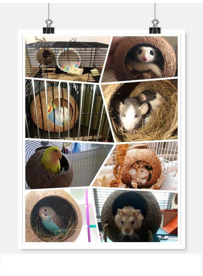 هامليدي بيت الطيور المعلق مع سلم من ألياف جوز الهند الطبيعية لتربية الطيور والببغاوات والطيور العاشبة والكناري وجوز الهند وجلود الطيور وأرجوحة الطيور والألعاب للهامستر وإكسسوارات قفص الطيور ومستلزمات الطيور الأليفة - Image 3