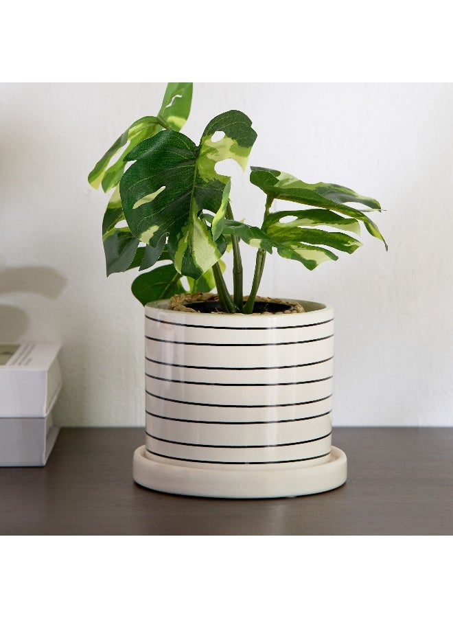 Home Box Vesus Dolomite Plant Pot - 11.5x11.5x10.4 cm  - Image 1
