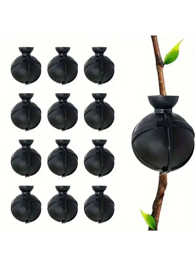 صندوق تجذير النباتات الشفاف للشتلات والعقل مع فتحات الصرف - Image 2