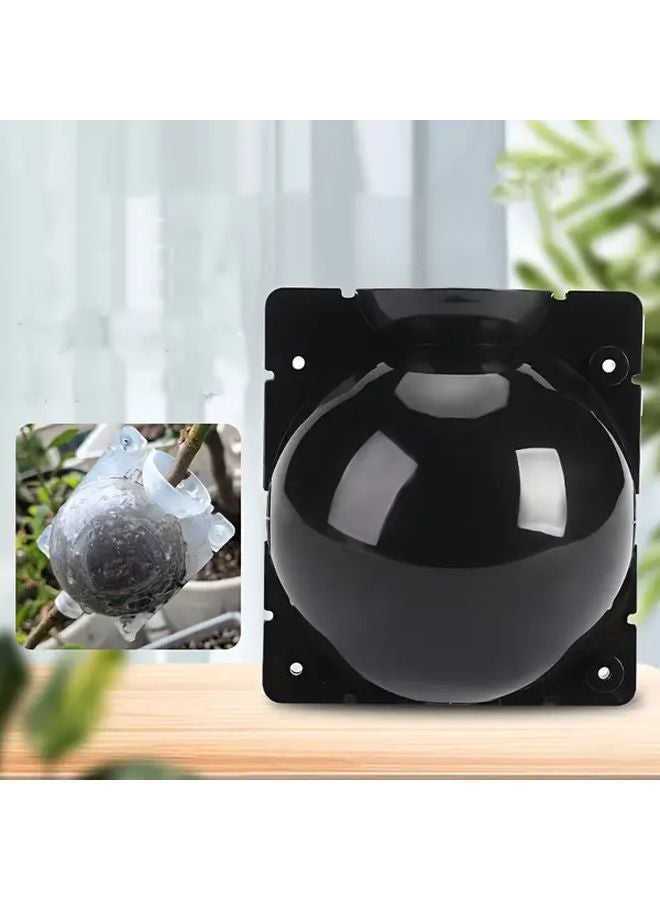 صندوق تجذير النباتات الشفاف للشتلات والعقل مع فتحات الصرف - Image 5