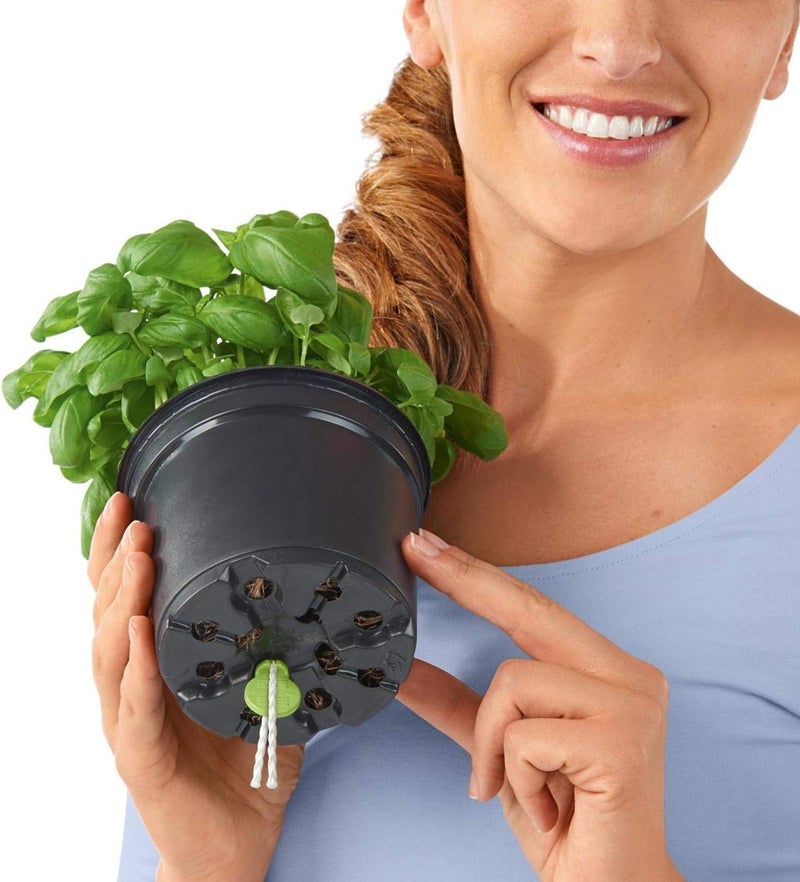 Lechuza 13488 Cube Color 16 Self-Watering Planter for Indoor and Outdoor Use, 7" x 7" x 6", Sand Brown - Image 5