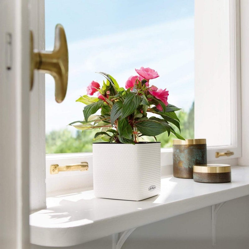 Lechuza 13488 Cube Color 16 Self-Watering Planter for Indoor and Outdoor Use, 7" x 7" x 6", Sand Brown - Image 3