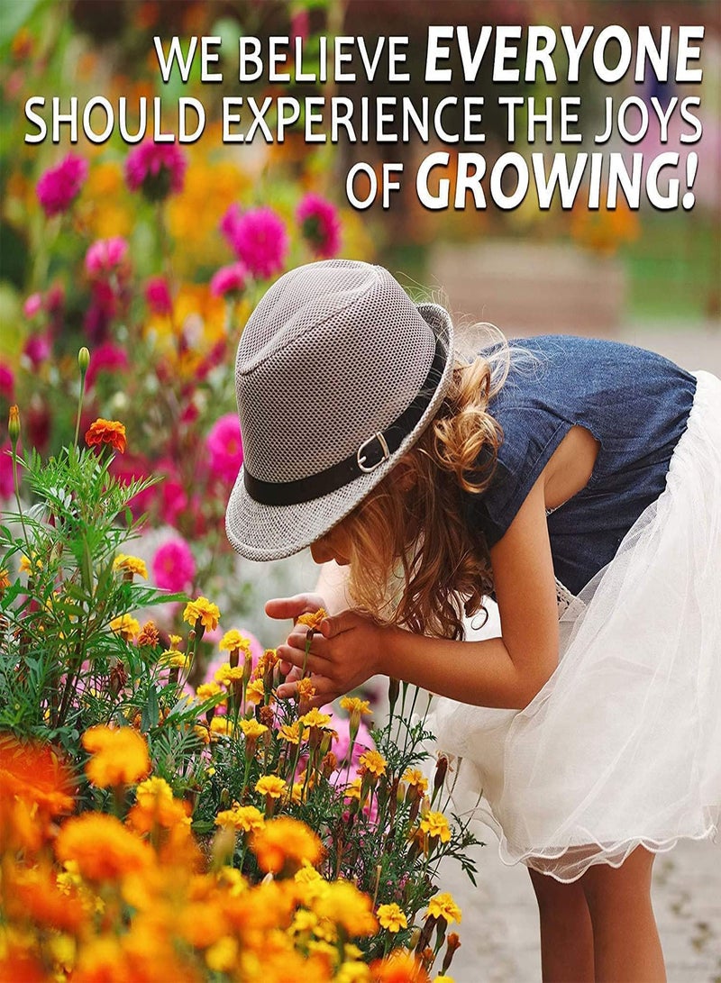 GGOOT Wild Flower Seeds UK Multi Color Gift Garden Butterfly Grow Your own More Than 21 Mix of Flowers in Pack Flowers Grow (250g)  - Image 3