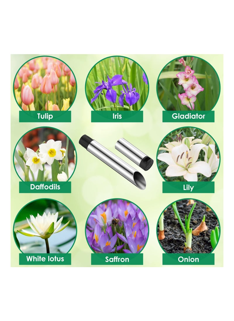 Generic - Seed Planter Tool, Garden Bulb Transplanter Tool, Metal Seedling Transplanter Tool, Manual Hole Digger, Flowers Seedling Planting Tools for Garden Backyard Farm Orchard Tulip Daffodil Crocus(1 Pack) - Image 1