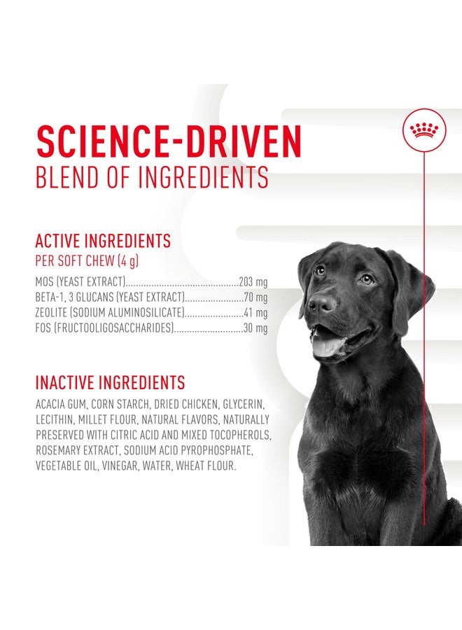 رويال كانين، مُكمِّل غذائي ناعم للكلاب البالغة، 8.47 أونصة (60 قطعة) - Image 5