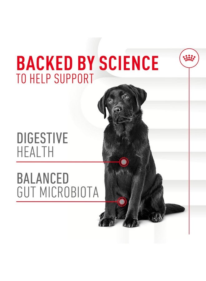 رويال كانين، مُكمِّل غذائي ناعم للكلاب البالغة، 8.47 أونصة (60 قطعة) - Image 4