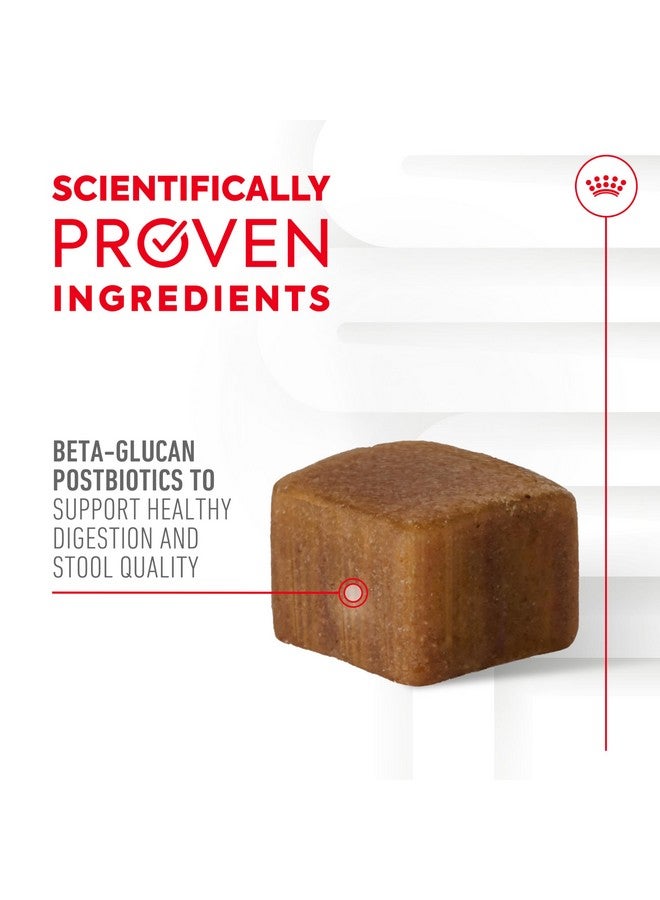 رويال كانين، مُكمِّل غذائي ناعم للكلاب البالغة، 8.47 أونصة (60 قطعة) - Image 2