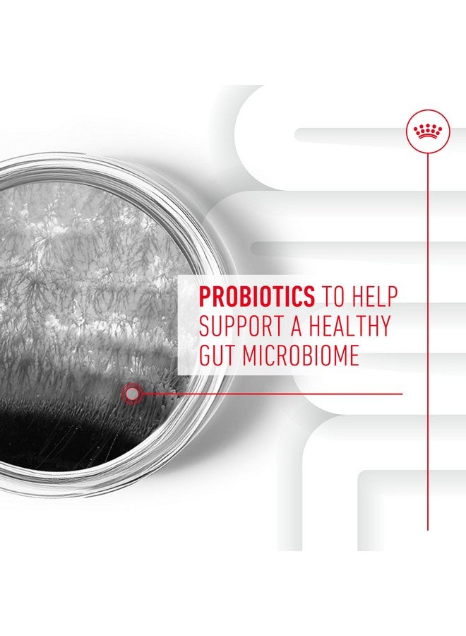 رويال كانين، مُكمِّل غذائي ناعم للكلاب البالغة، 8.47 أونصة (60 قطعة) - Image 3