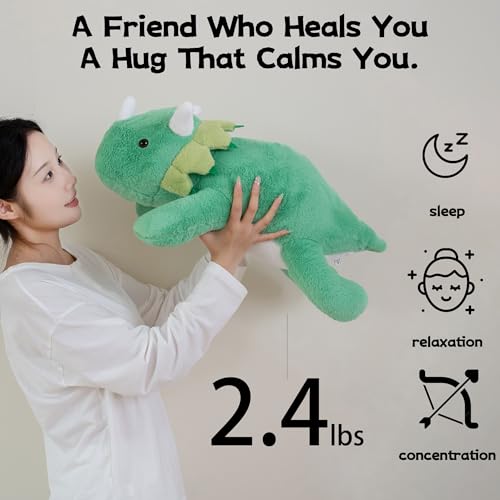 Gudisi 24 Pounds Weighted Dinosaur Stuffed Animals 157Inch Green Weighted Dino PlushHuggable Companion for Kids Adults Gift for Thanksgiving Christmas and Birthday - Image 5
