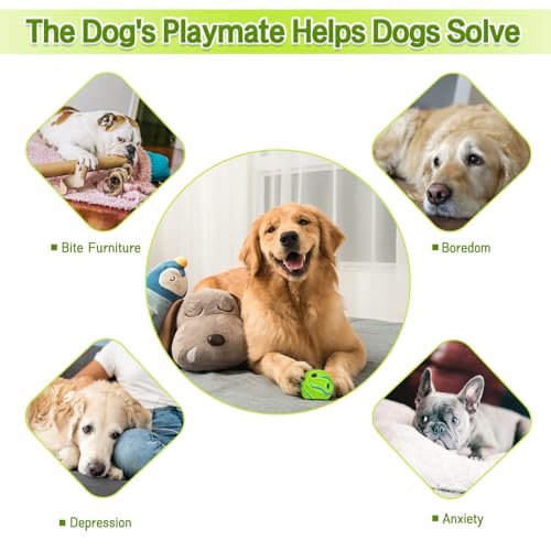 Agirav Tail Dog Toys + Dog Chew Toys + Puppy Teething Toys + Rope Dog Toy + Dog Toys for Small to Medium Dog Toys + Dog Toy Pack + Tug Toy + Dog Toy Set + Washable Cotton Rope for Dogs (PACK OF 15PCS) - Image 4